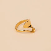 Irregular Wave Ring